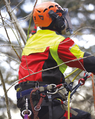 Vetement forestier 2025